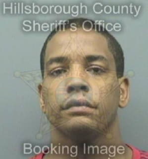 Christopher Dionte - Hillsborough County, Florida 