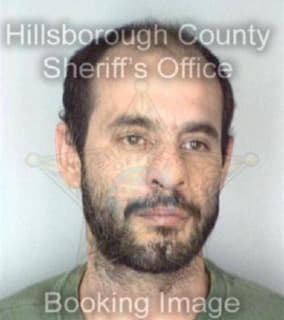 Martinez Enrique - Hillsborough County, Florida 