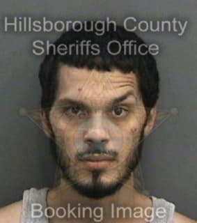 Alicea Evan - Hillsborough County, Florida 