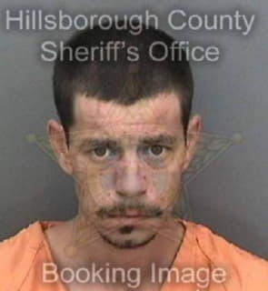 Rodriguez Gerardo - Hillsborough County, Florida 