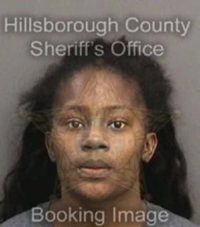 Daughtry Imari - Hillsborough County, Florida 