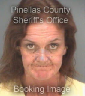 Heinsen Lori - Pinellas County, Florida 