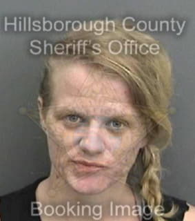 Miske Nicole - Hillsborough County, Florida 