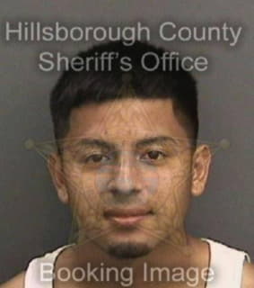 Rosales Oscar - Hillsborough County, Florida 