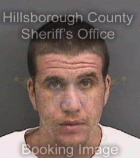 Mccausland Paul - Hillsborough County, Florida 