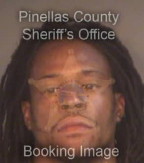 Baugh Richard - Pinellas County, Florida 