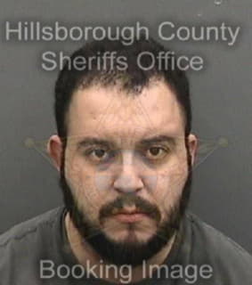 Velazquez Christopher - Hillsborough County, Florida 