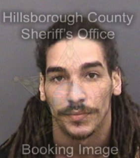 Ruiz Felix - Hillsborough County, Florida 