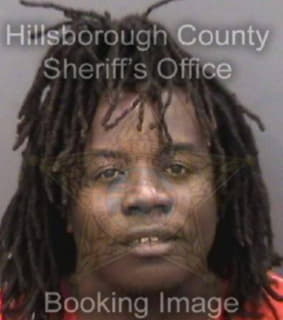 Everett Gregory - Hillsborough County, Florida 