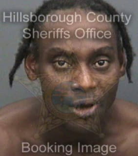 Barron Johnathan - Hillsborough County, Florida 