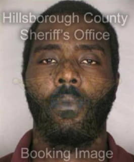 Braggs Reginald - Hillsborough County, Florida 