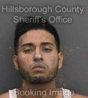 Martinez Vidal - Hillsborough County, Florida 