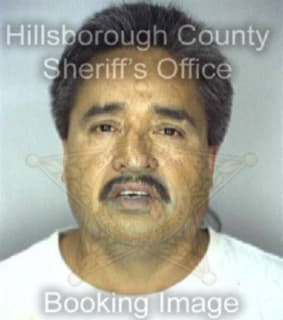 Calvillo Anthony - Hillsborough County, Florida 