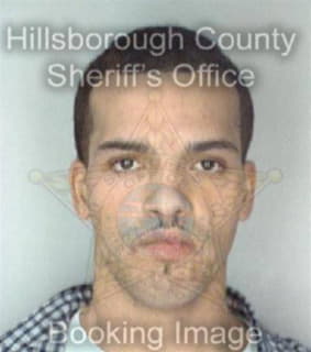 Vega Pedro - Hillsborough County, Florida 