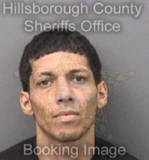 Reyes Yovonne - Hillsborough County, Florida 