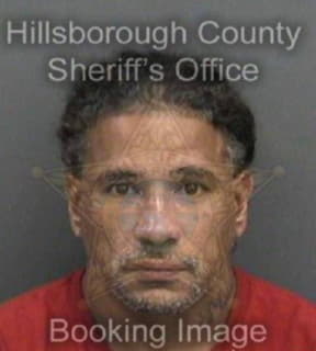 Nevarezdiaz David - Hillsborough County, Florida 