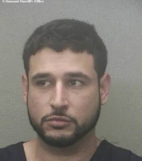 Gonzalez Giovani - Broward County, Florida 