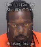 Johnson Jonathan - Pinellas County, Florida 