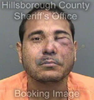 Deleon Josue - Hillsborough County, Florida 