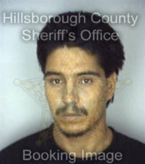 Martinez Manuel - Hillsborough County, Florida 