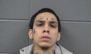 Lopez Michael - Cook County, Illinois 