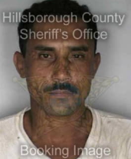 Duarte Tulio - Hillsborough County, Florida 