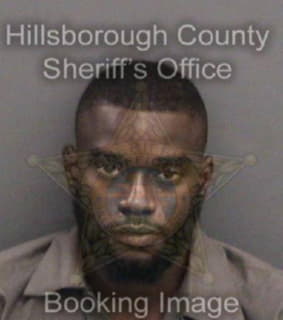 Anthonywillis Charlevester - Hillsborough County, Florida 