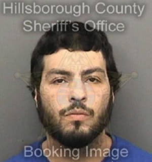 Mendez Joshua - Hillsborough County, Florida 