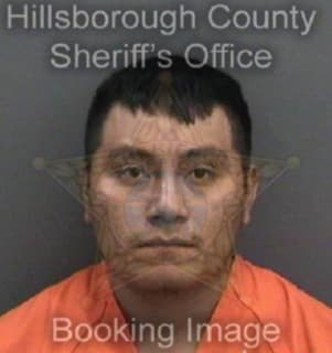 Diazsegundo Juan - Hillsborough County, Florida 