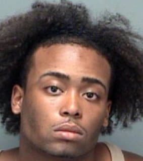 Johnson Omar - Pinellas County, Florida 