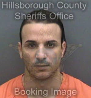 Lorenzogonzalez Yosbani - Hillsborough County, Florida 