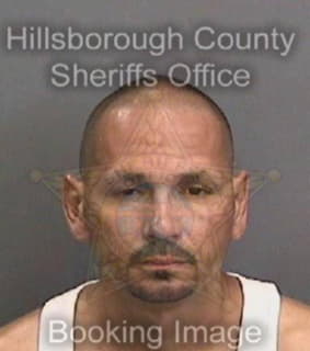Hernandez Jacob - Hillsborough County, Florida 