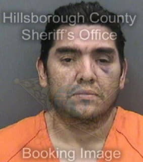 Villareal Manuel - Hillsborough County, Florida 