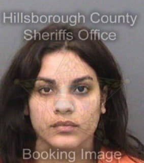 Lugo Nanichie - Hillsborough County, Florida 