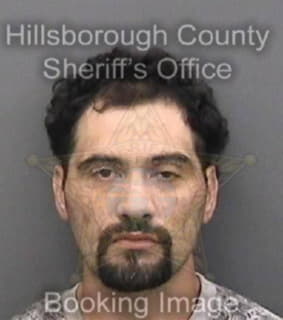 Matos Nelson - Hillsborough County, Florida 