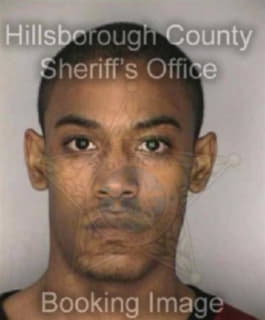 Reisch Reinaldo - Hillsborough County, Florida 