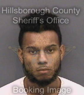 Lopez David - Hillsborough County, Florida 