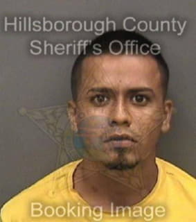 Rosales Hugo - Hillsborough County, Florida 