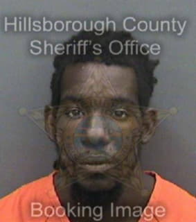 Lewis Toliver - Hillsborough County, Florida 