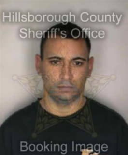 Collazo Alejandro - Hillsborough County, Florida 