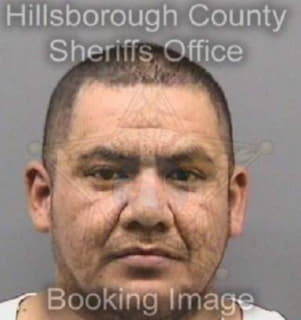 Rodriguez Ricardo - Hillsborough County, Florida 