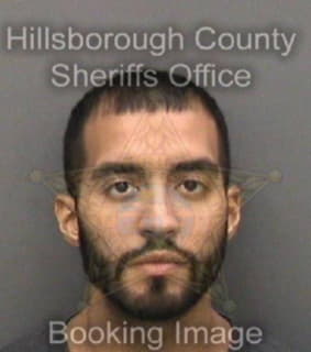 Reverdes Anthony - Hillsborough County, Florida 