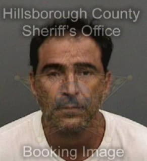 Veloso Fernando - Hillsborough County, Florida 