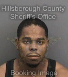 Johnson Jermaine - Hillsborough County, Florida 