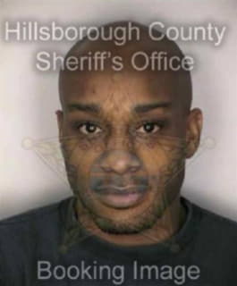 Ross Lamar - Hillsborough County, Florida 