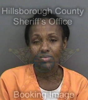 Mcduffie Najah - Hillsborough County, Florida 