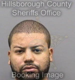 Rodriguez Edwin - Hillsborough County, Florida 