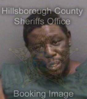 Woodard Damarcus - Hillsborough County, Florida 