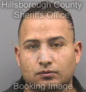 Cruz David - Hillsborough County, Florida 