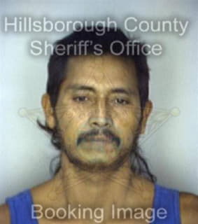 Ramirez Enrique - Hillsborough County, Florida 